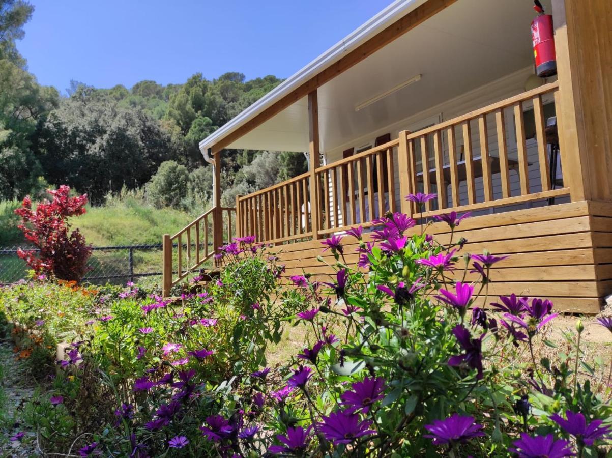 Camping Roca Grossa Calella Exteriör bild