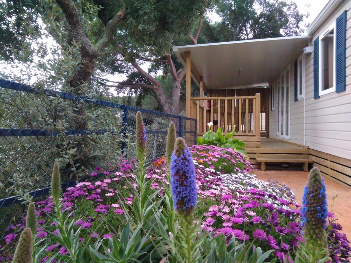 Camping Roca Grossa Calella Exteriör bild