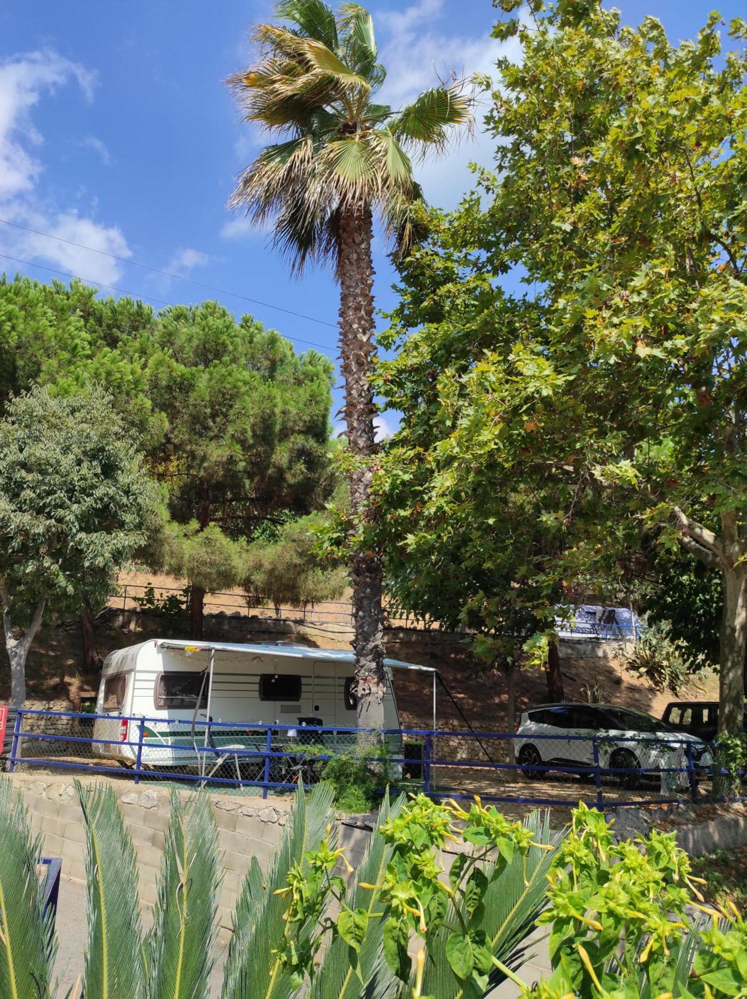 Camping Roca Grossa Calella Exteriör bild
