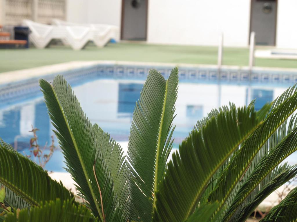 Camping Roca Grossa Calella Exteriör bild