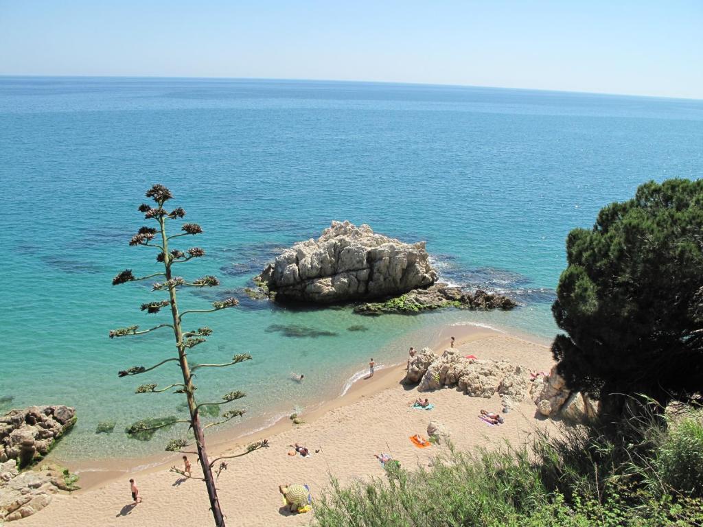 Camping Roca Grossa Calella Exteriör bild